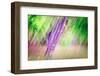 Spring-Ursula Abresch-Framed Photographic Print