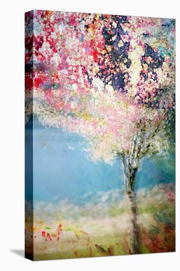 Spring-Ursula Abresch-Stretched Canvas