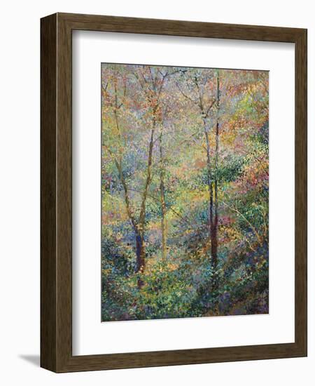 Spring-Stephen Henning-Framed Giclee Print