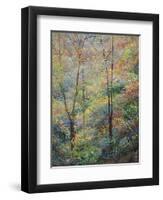 Spring-Stephen Henning-Framed Giclee Print