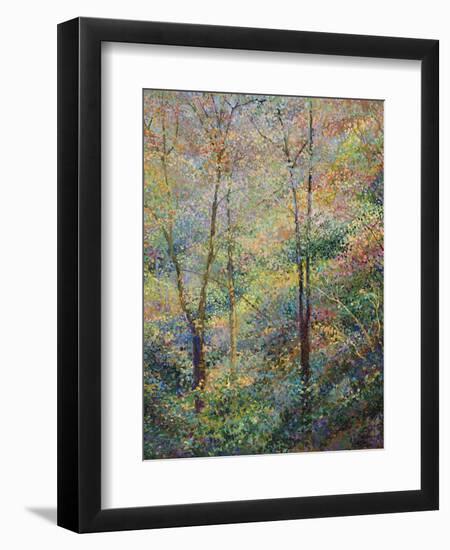 Spring-Stephen Henning-Framed Giclee Print