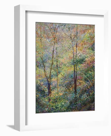 Spring-Stephen Henning-Framed Giclee Print