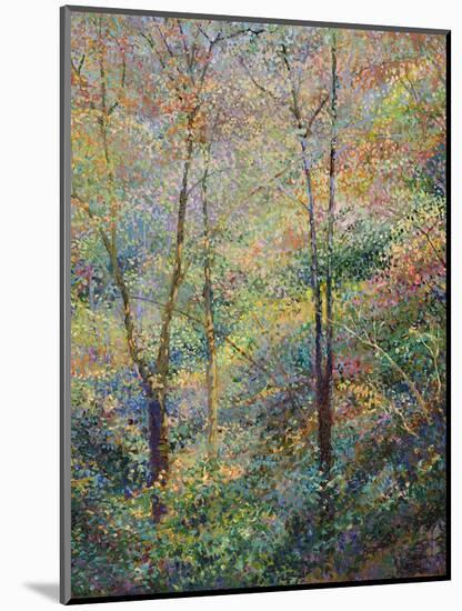 Spring-Stephen Henning-Mounted Giclee Print