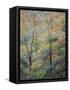 Spring-Stephen Henning-Framed Stretched Canvas