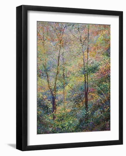 Spring-Stephen Henning-Framed Giclee Print