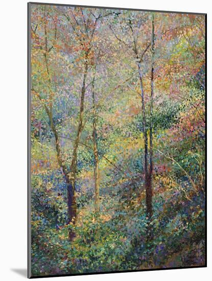 Spring-Stephen Henning-Mounted Giclee Print