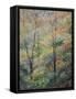 Spring-Stephen Henning-Framed Stretched Canvas