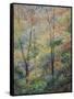 Spring-Stephen Henning-Framed Stretched Canvas