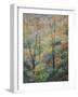 Spring-Stephen Henning-Framed Premium Giclee Print