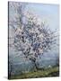 Spring-Emanuel Phillips Fox-Stretched Canvas