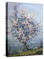 Spring-Emanuel Phillips Fox-Stretched Canvas