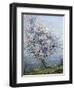 Spring-Emanuel Phillips Fox-Framed Giclee Print