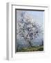 Spring-Emanuel Phillips Fox-Framed Giclee Print