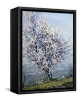 Spring-Emanuel Phillips Fox-Framed Stretched Canvas