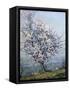 Spring-Emanuel Phillips Fox-Framed Stretched Canvas