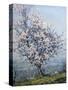 Spring-Emanuel Phillips Fox-Stretched Canvas