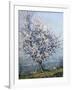 Spring-Emanuel Phillips Fox-Framed Giclee Print