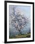 Spring-Emanuel Phillips Fox-Framed Giclee Print