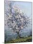 Spring-Emanuel Phillips Fox-Mounted Giclee Print