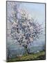 Spring-Emanuel Phillips Fox-Mounted Premium Giclee Print