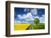 Spring-Bess Hamiti-Framed Photographic Print