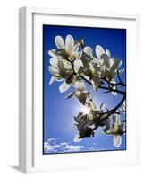 Spring-Adrian Campfield-Framed Giclee Print