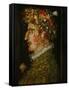 Spring-Giuseppe Arcimboldo-Framed Stretched Canvas