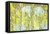 Spring-Anne Cote-Framed Stretched Canvas