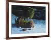 Spring-Jamin Still-Framed Giclee Print