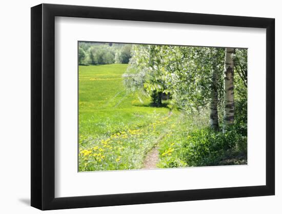 Spring-Heidi Westum-Framed Photographic Print