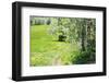 Spring-Heidi Westum-Framed Photographic Print