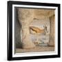 Springbok and elephant at Nebrowni Waterhole, Etosha NP, Namibia.-Wendy Kaveney-Framed Photographic Print