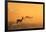 Springbok and Golden Sunset Background - Wildlife from the Free and Wild in Africa-Naturally Africa-Framed Photographic Print