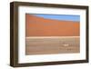 Springbok and Orange Sand Dune in the Ancient Namib Desert Near Sesriem-Lee Frost-Framed Photographic Print