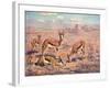 Springbok, Cuthbert Swan-Cuthbert Swan-Framed Art Print