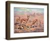 Springbok, Cuthbert Swan-Cuthbert Swan-Framed Art Print