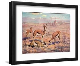 Springbok, Cuthbert Swan-Cuthbert Swan-Framed Art Print