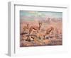 Springbok, Cuthbert Swan-Cuthbert Swan-Framed Art Print