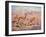 Springbok, Cuthbert Swan-Cuthbert Swan-Framed Art Print