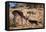 Springbok Fending Off Blackbacked Jackals-Paul Souders-Framed Stretched Canvas