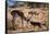Springbok Fending Off Blackbacked Jackals-Paul Souders-Framed Stretched Canvas