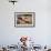 Springbok Fending Off Blackbacked Jackals-Paul Souders-Framed Photographic Print displayed on a wall