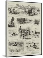 Springbok Hunting in South Africa-Godefroy Durand-Mounted Giclee Print