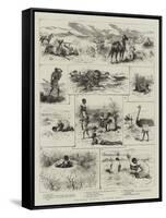 Springbok Hunting in South Africa-Godefroy Durand-Framed Stretched Canvas