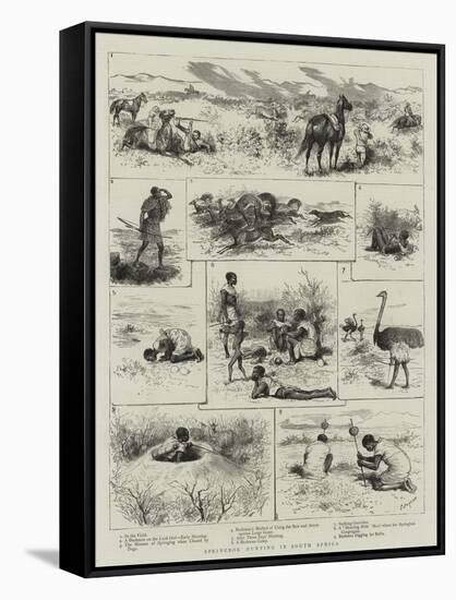 Springbok Hunting in South Africa-Godefroy Durand-Framed Stretched Canvas