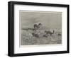 Springbok-Shooting in South Africa-Henry Charles Seppings Wright-Framed Giclee Print