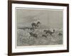 Springbok-Shooting in South Africa-Henry Charles Seppings Wright-Framed Giclee Print