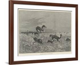 Springbok-Shooting in South Africa-Henry Charles Seppings Wright-Framed Giclee Print