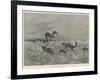 Springbok-Shooting in South Africa-Henry Charles Seppings Wright-Framed Giclee Print