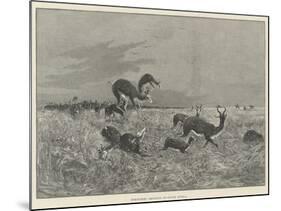 Springbok-Shooting in South Africa-Henry Charles Seppings Wright-Mounted Giclee Print